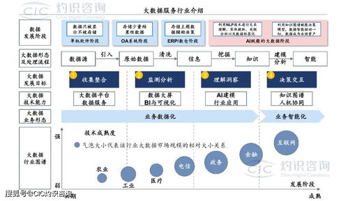 《中國商業(yè)大數(shù)據(jù)服務(wù)行業(yè)藍(lán)皮書》發(fā)布 洞見未來，數(shù)據(jù)賦能社會經(jīng)濟咨詢新篇章
